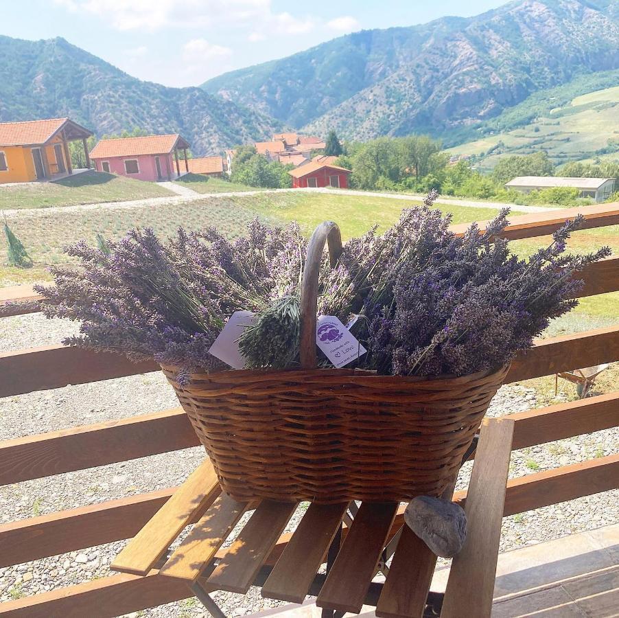 Azienda Agricola Saint Hubert Cantalupo Ligure Exteriör bild